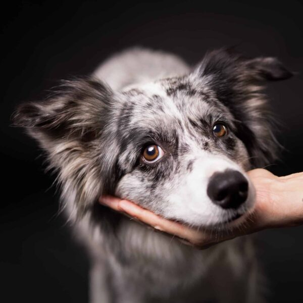 Fotoshooting-Gutschein