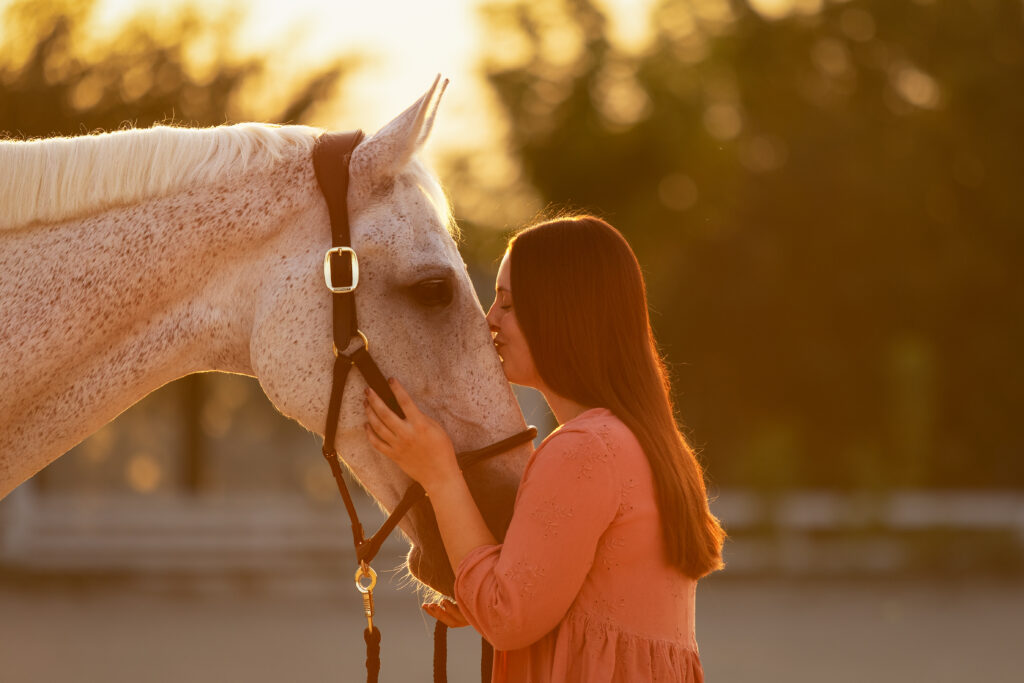 Weißes Pferd und Besitzerin Kopf an Kopf bei Sonnenuntergang